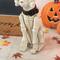 Glitzhome® 20.5" Lighted Halloween Skeleton Dog Porch Décor with Timer